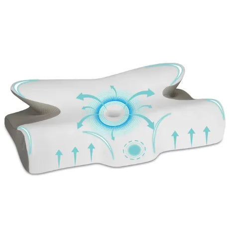 Butterfly Pillow